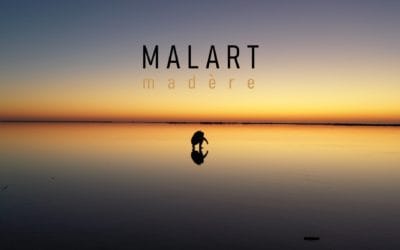 Malart / Simon de Céret