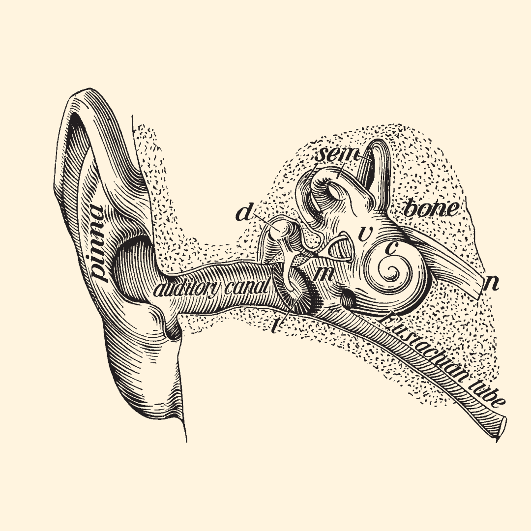 Aide à la diffusion des musiques actuelles